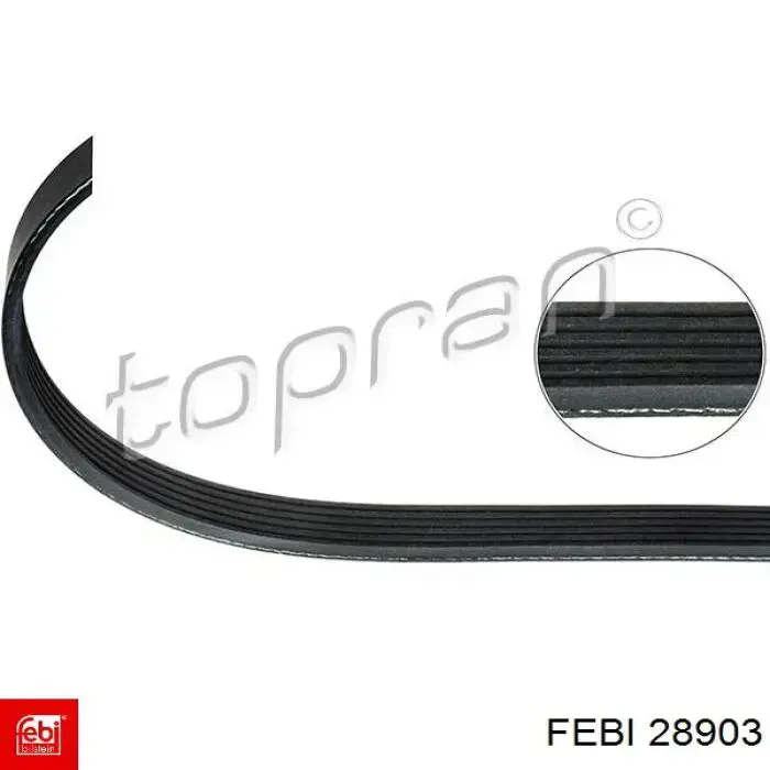 Correa de transmisión trapezoidal Febi 28903 precio, desde 9,77 EUR