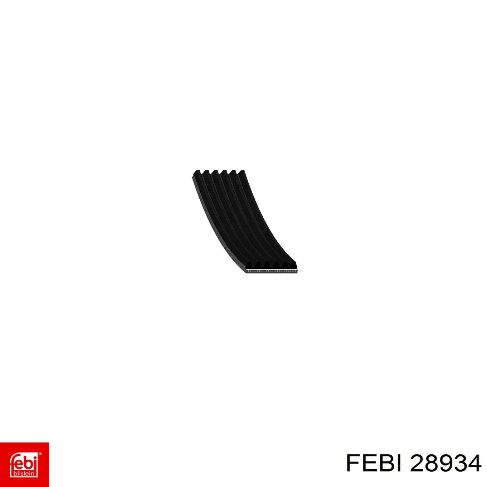 28934 Febi Correa poly v