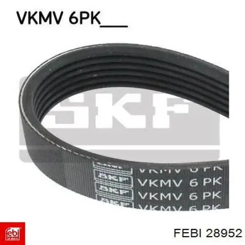 Correa de alternador 28952 Febi