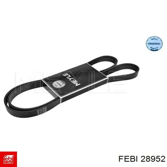 Correa de transmisión trapezoidal Febi 28952 precio, desde 17,15 EUR