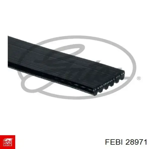 28971 Febi Correa poly v