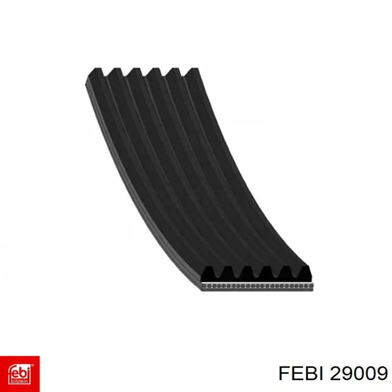 Correa accesorios Febi 29009