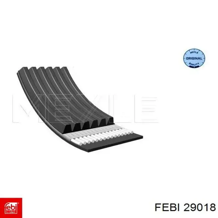 Correa de alternador 29018 Febi