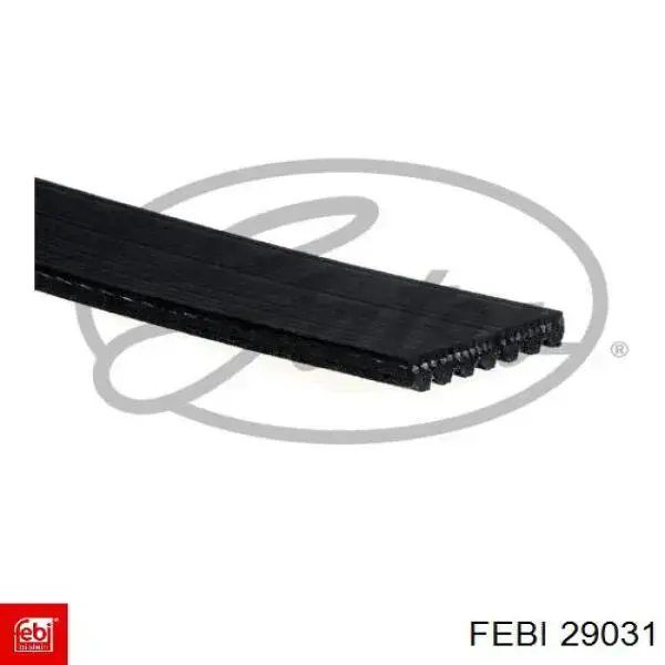 Comprar 29031 Febi Correa trapezoidal