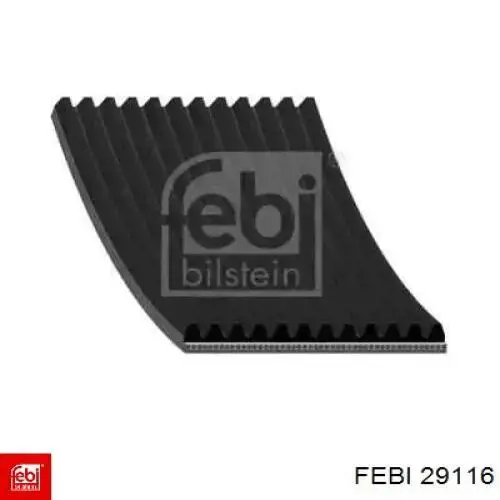 Comprar 29116 Febi Correa trapezoidal