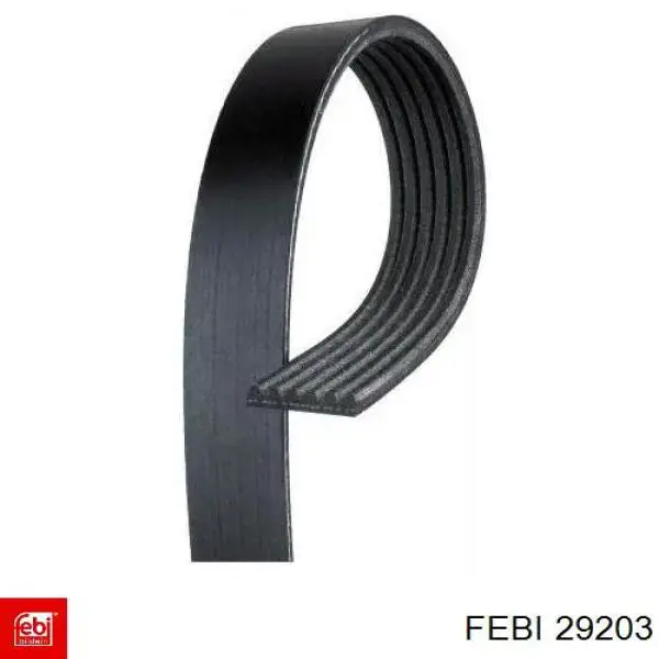 Fuelle de palier delantero exterior 29203 Febi