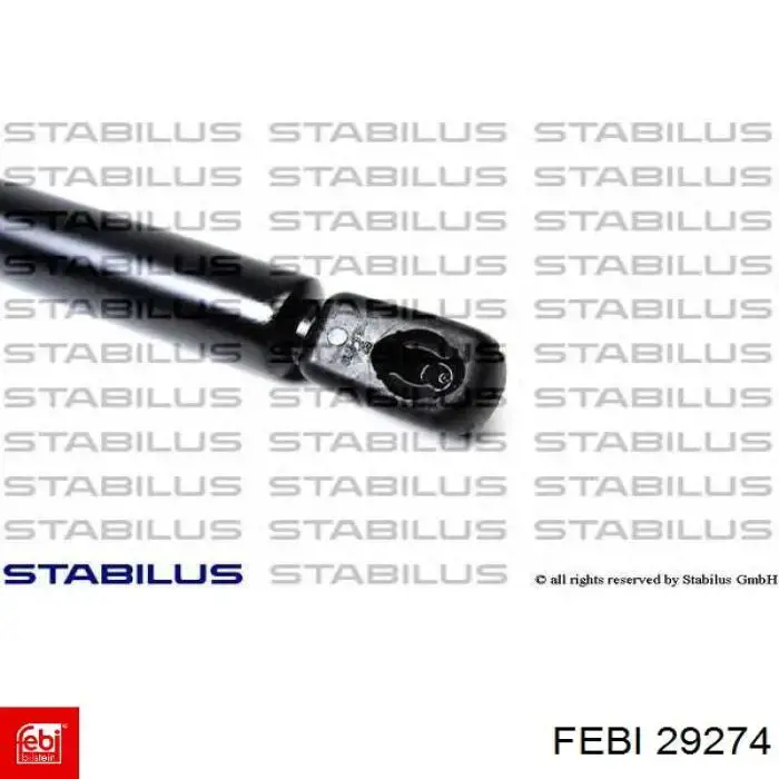 SKGS0220151 Market (OEM) amortiguador maletero