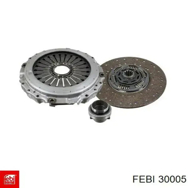 Tornillo (tuerca) de sujeción 30005 Febi
