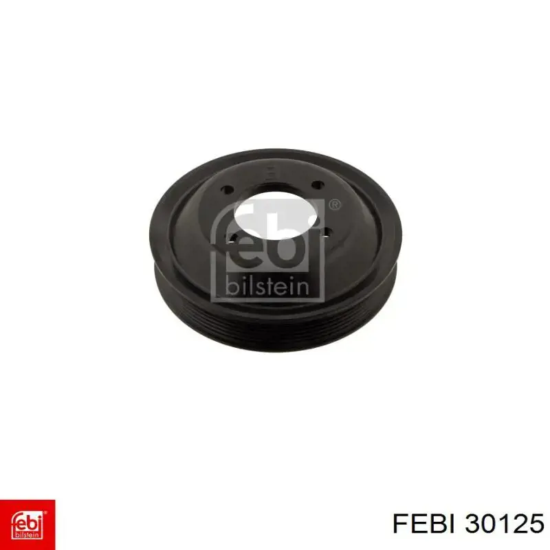 Polea de la bomba de agua Febi 30125 precio, desde 31,02 EUR