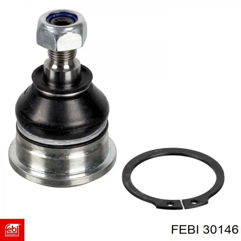 Tensor de correa poli V 30146 Febi