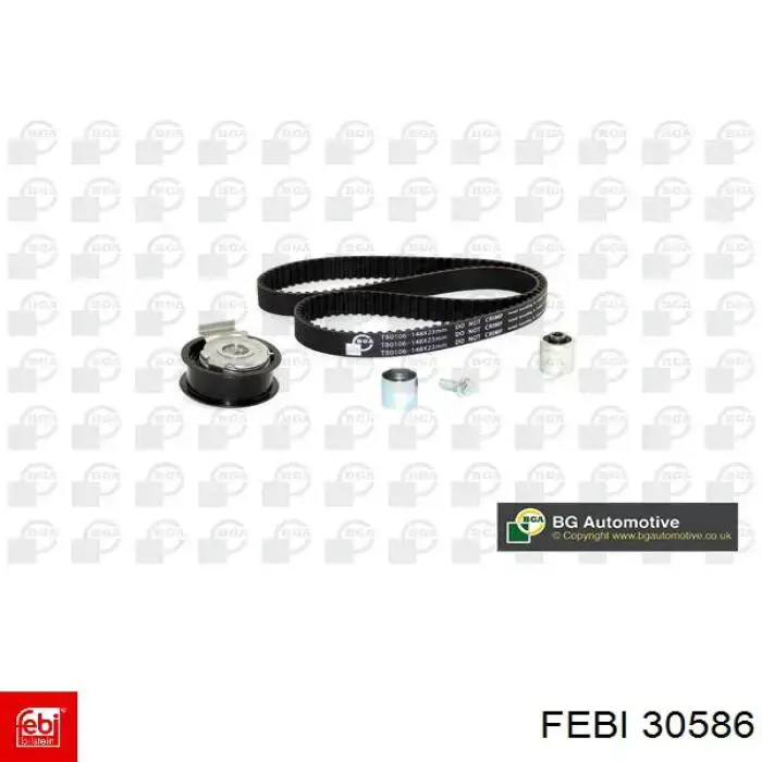 Kit distribución Borsehung B10226