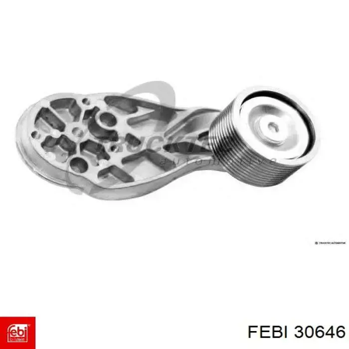 Rodillo guia Febi 30646