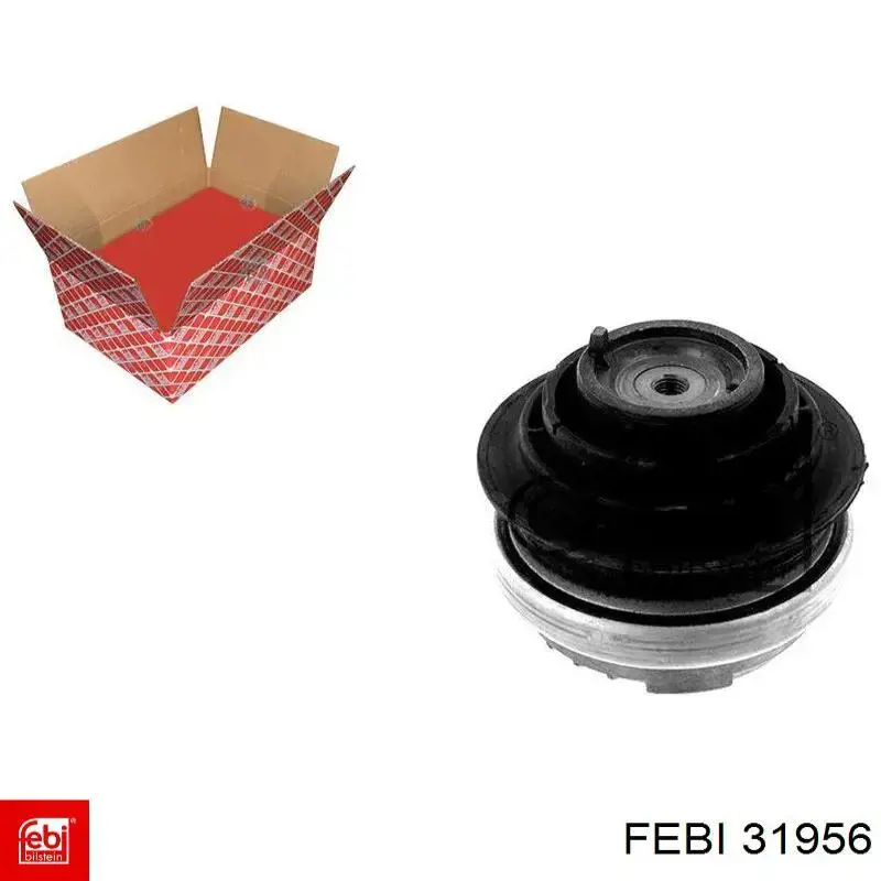 Comprar 8V41S406A10AF Ford Amortiguador de puerta trasera