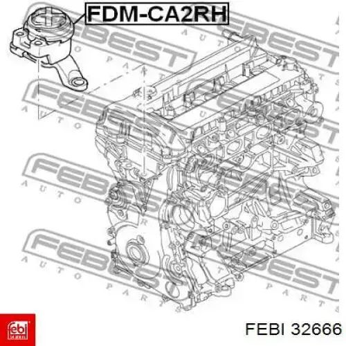 Comprar 32666 Febi Soporte de motor derecho
