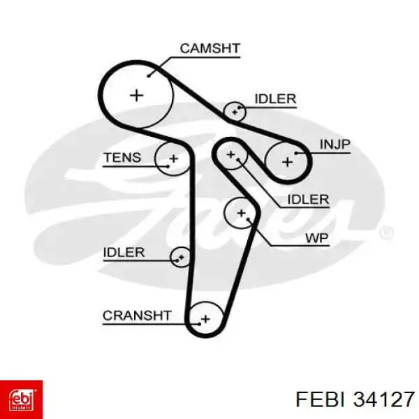 34127 Febi correa distribucion