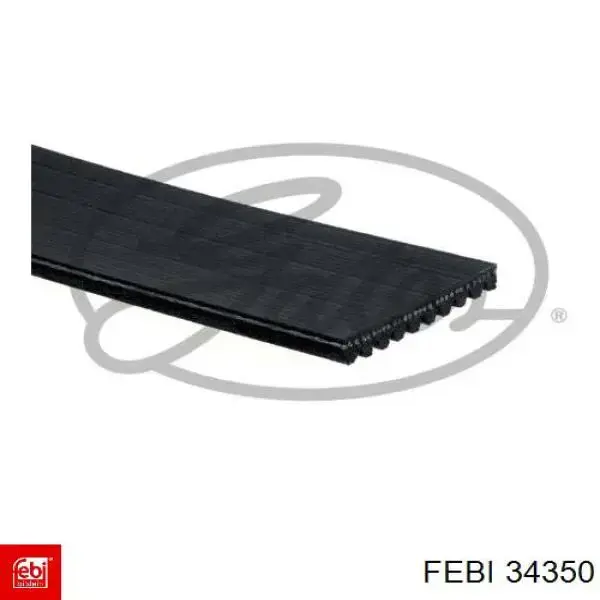 Correa accesorios Renault (RVI) 7422100459
