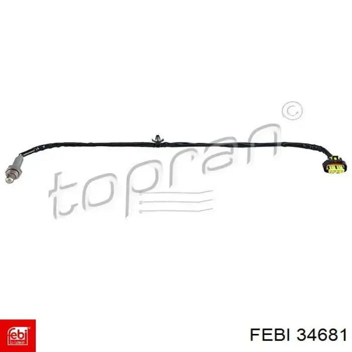 34681 Febi