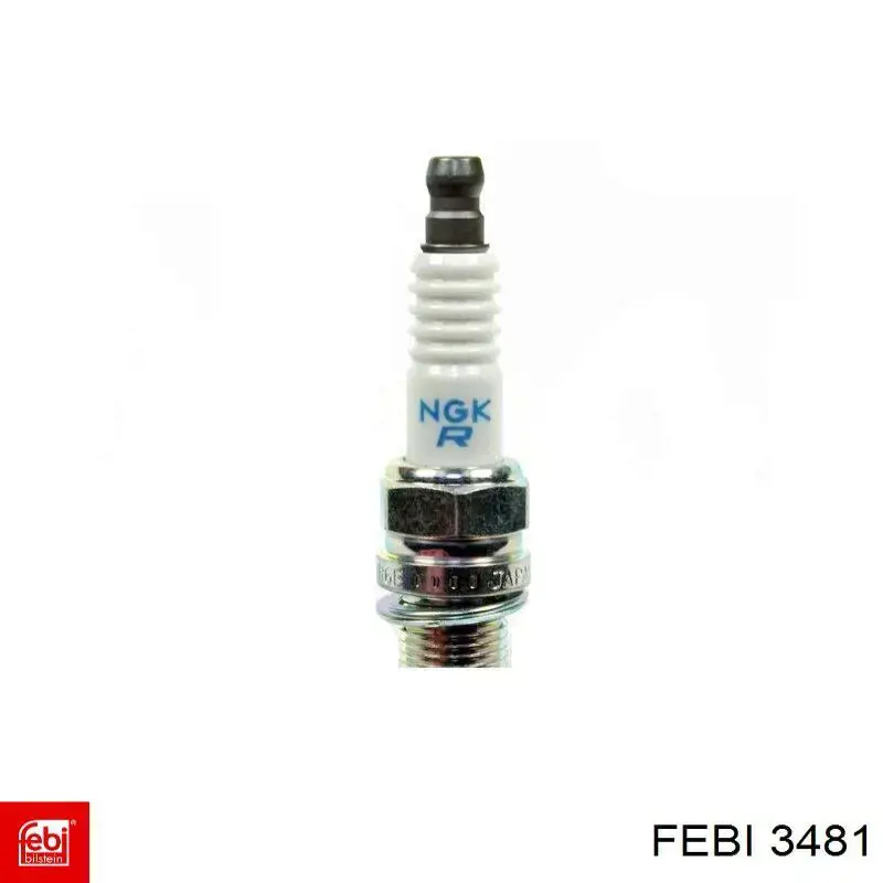 3481 Febi