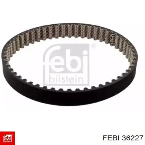 Correa de alternador B10231 Borsehung