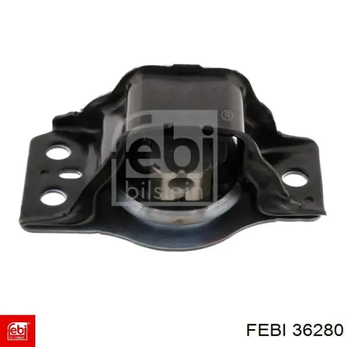 Comprar 36280 Febi Manguera superior del radiador