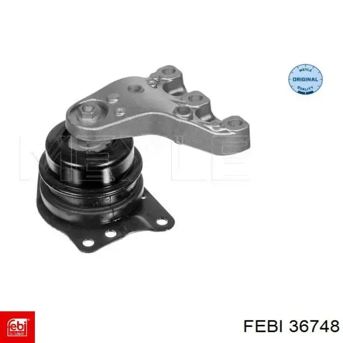 Soporte de motor derecho Febi 36748 precio, desde 66,79 EUR