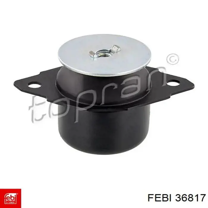 Tope de amortiguador delantero Febi 36817 precio, desde 12,19 EUR