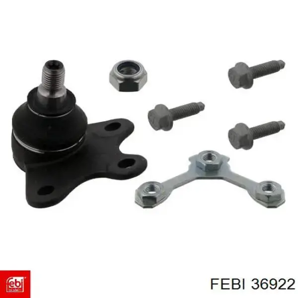 Brazo inferior derecho de la suspensión delantera 36922 Febi