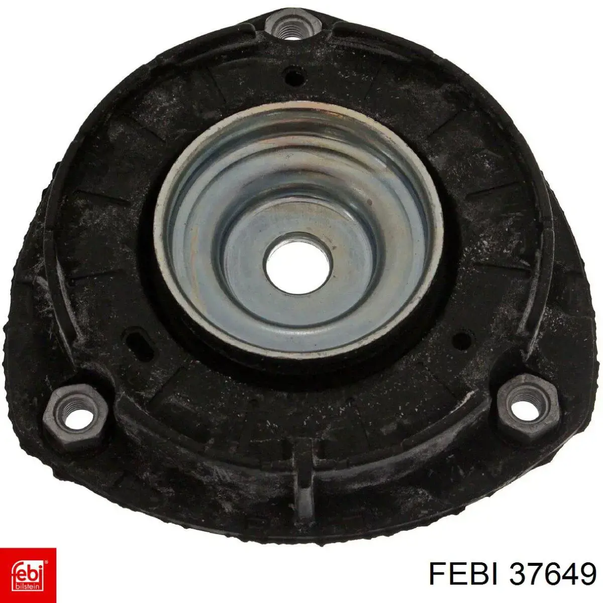 37649 Febi Correa poly v