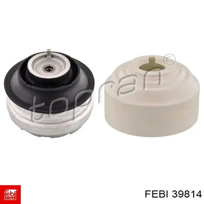Comprar 504172822 Iveco Bomba de elevación de cabina