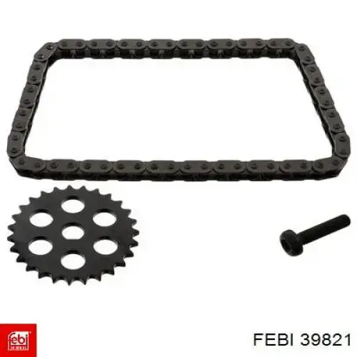 Cadena, bomba de aceite Renault SANDERO 2