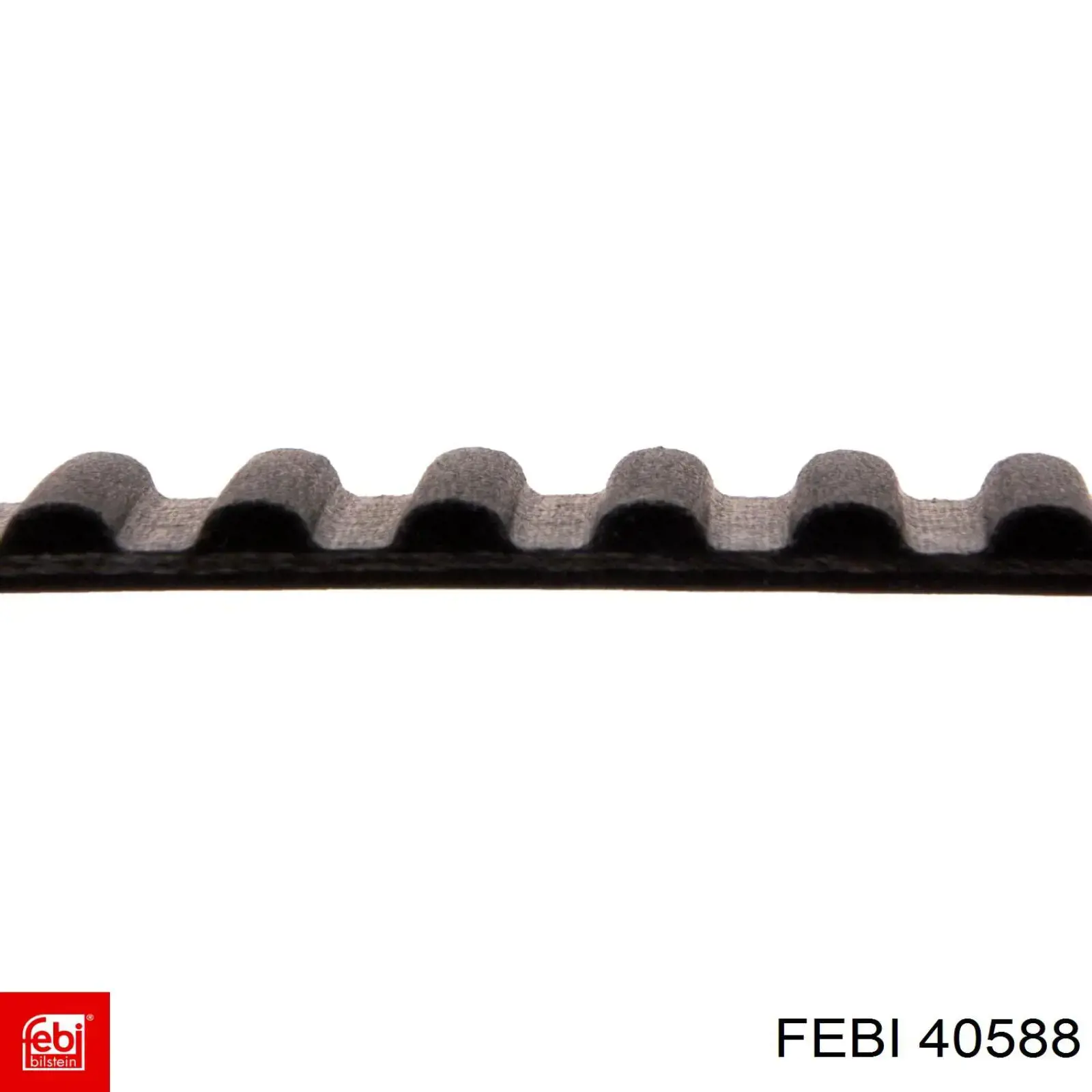  40588 Febi
