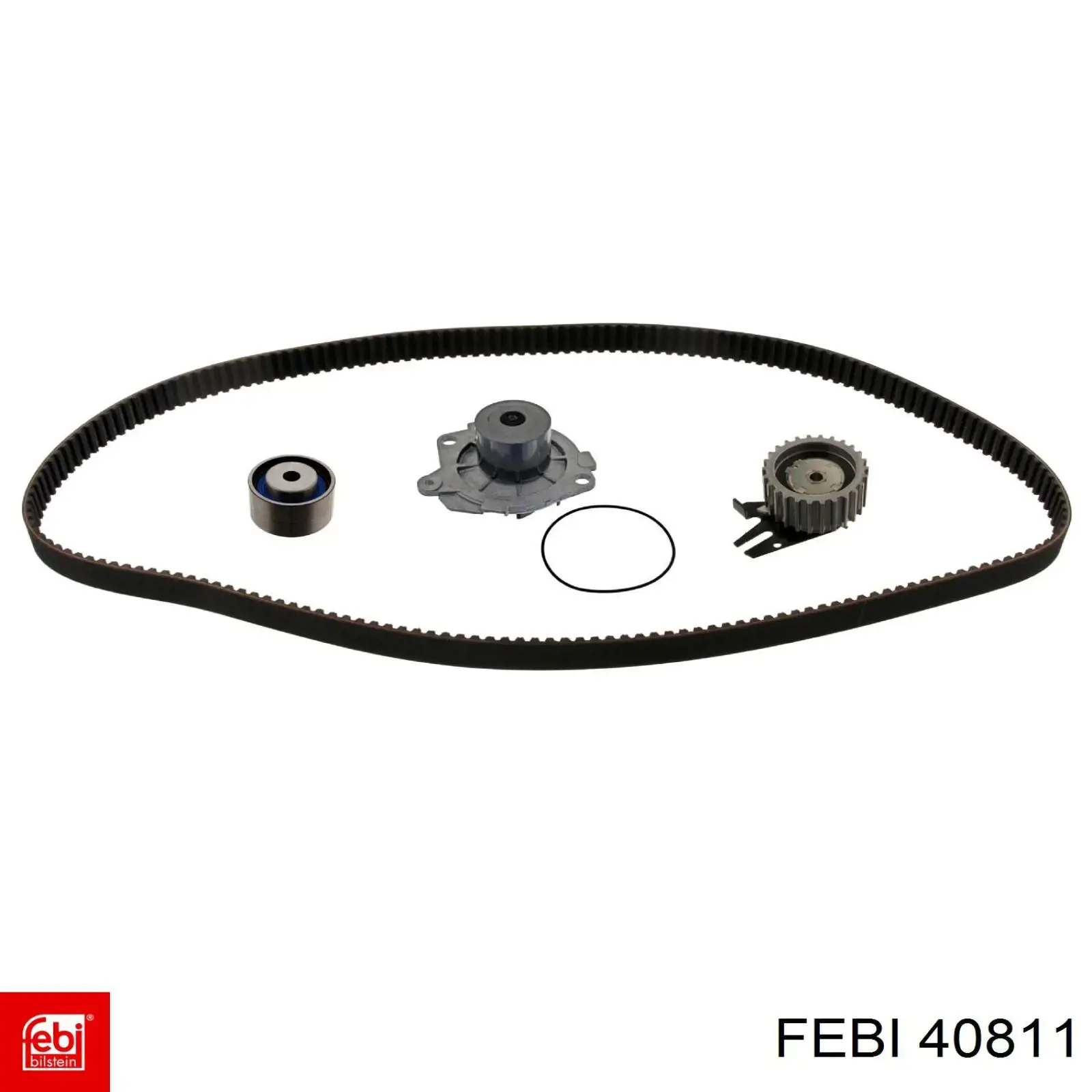 Cadena de distribución 5801514998 Iveco