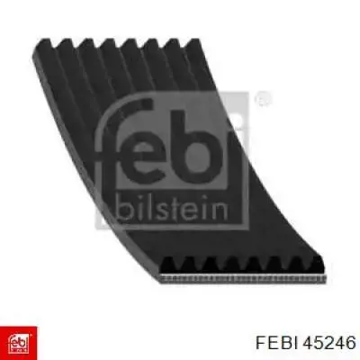 Correa de alternador 8PK1427 Continental/Siemens