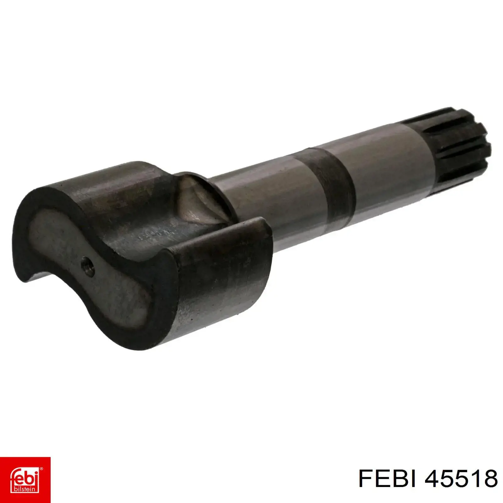  45518 Febi