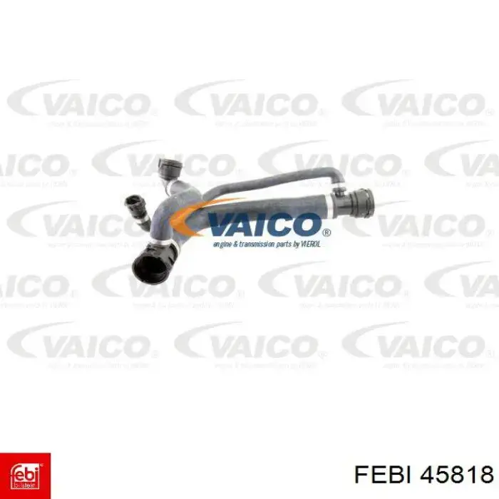 Manguera superior del radiador Febi 45818 precio, desde 43,28 EUR