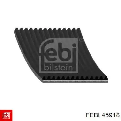 45918 Febi Correa poly v