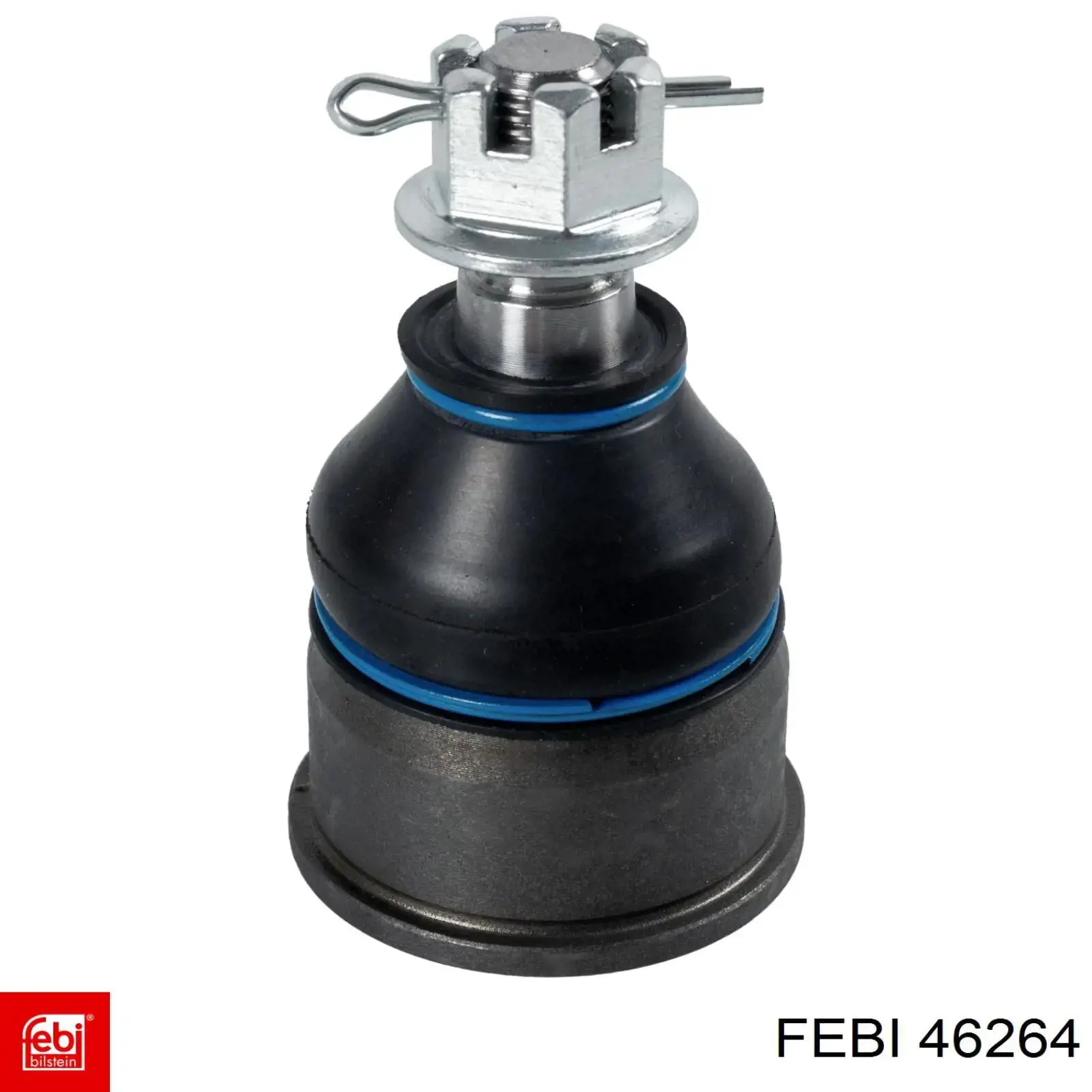 46264 Febi Manguera inferior del radiador
