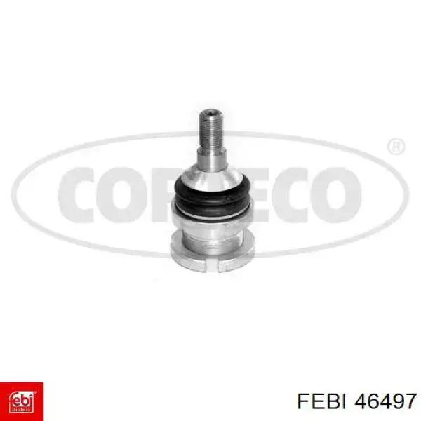 Manguera superior del depósito de expansión Metalcaucho 97806 precio, desde 15,65 EUR