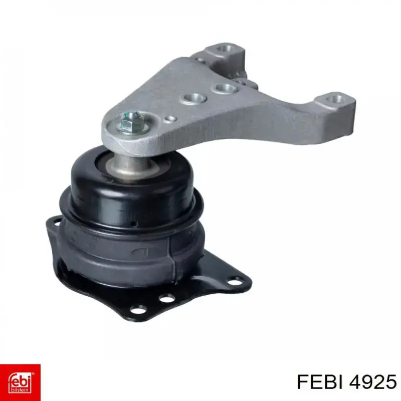 Tensor de la correa de distribución Febi 4925 precio, desde 31,85 EUR