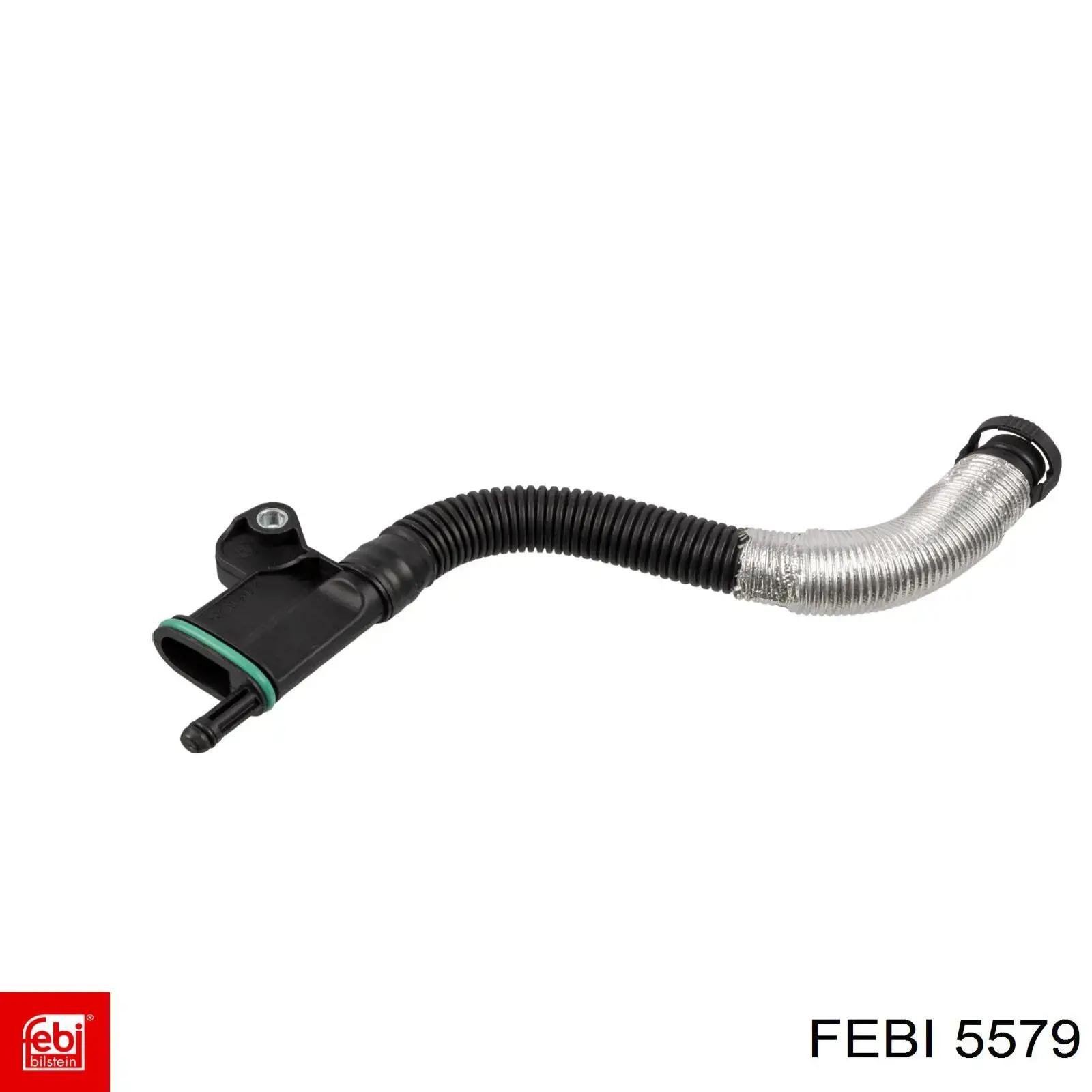5579 Febi