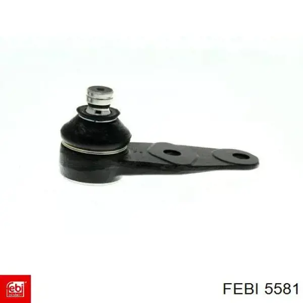 Cojinete de rueda delantero Febi 5581 precio, desde 17,90 EUR