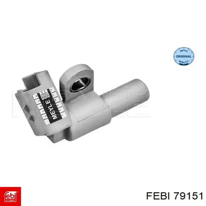 Soporte de motor, Izquierda / Derecha 79151 Febi