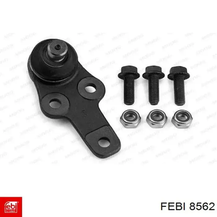 8562 Febi