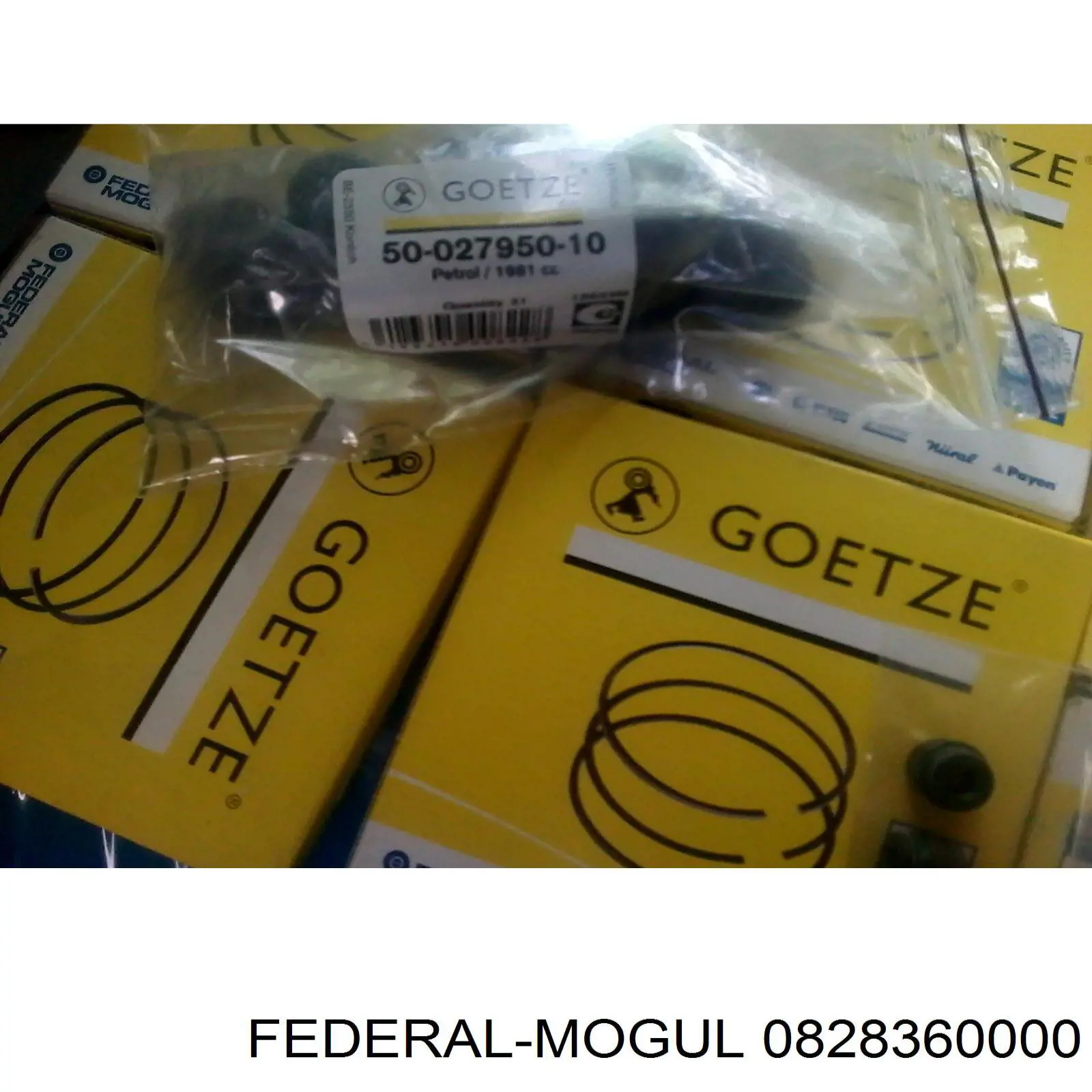 0828360000 Federal Mogul