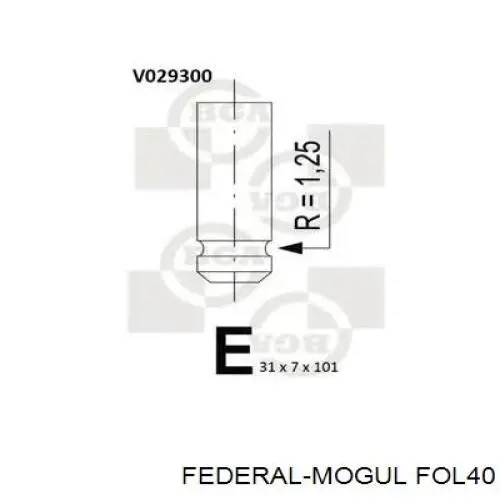 FOL40 Federal Mogul