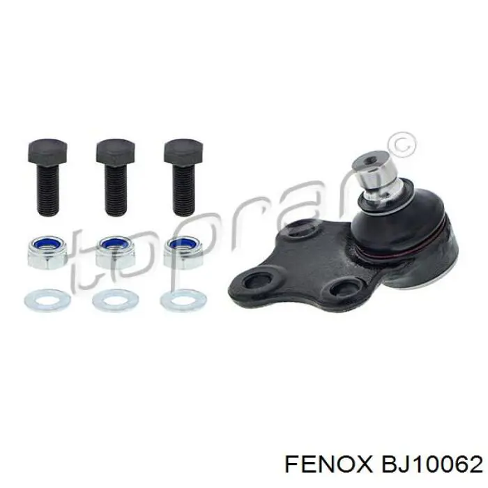 BJ10062 Fenox rótula de suspensión inferior