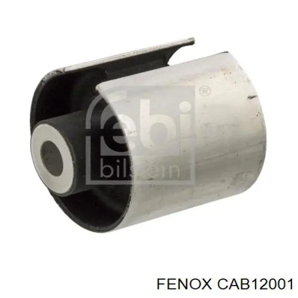 VKDS438518 SKF Buje del brazo inferior trasero