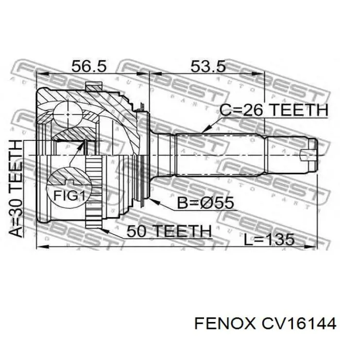 CV16144 Fenox junta homocinética exterior delantera