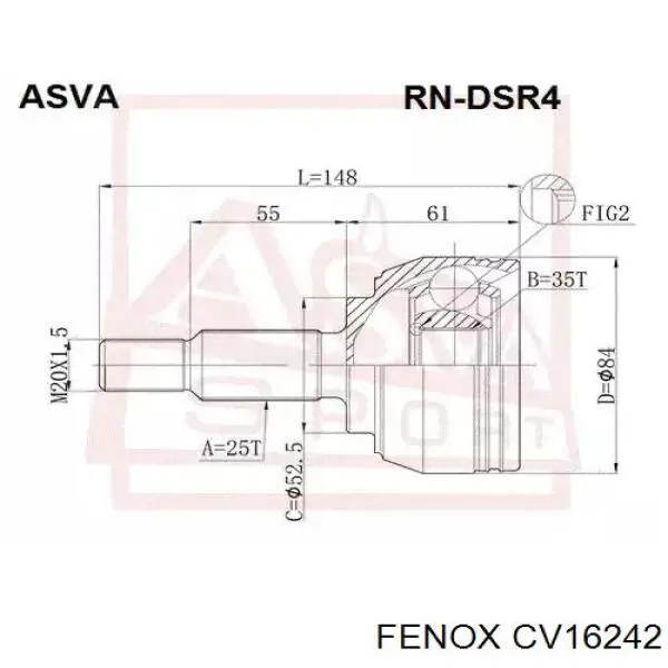 CV16242 Fenox junta homocinética exterior delantera