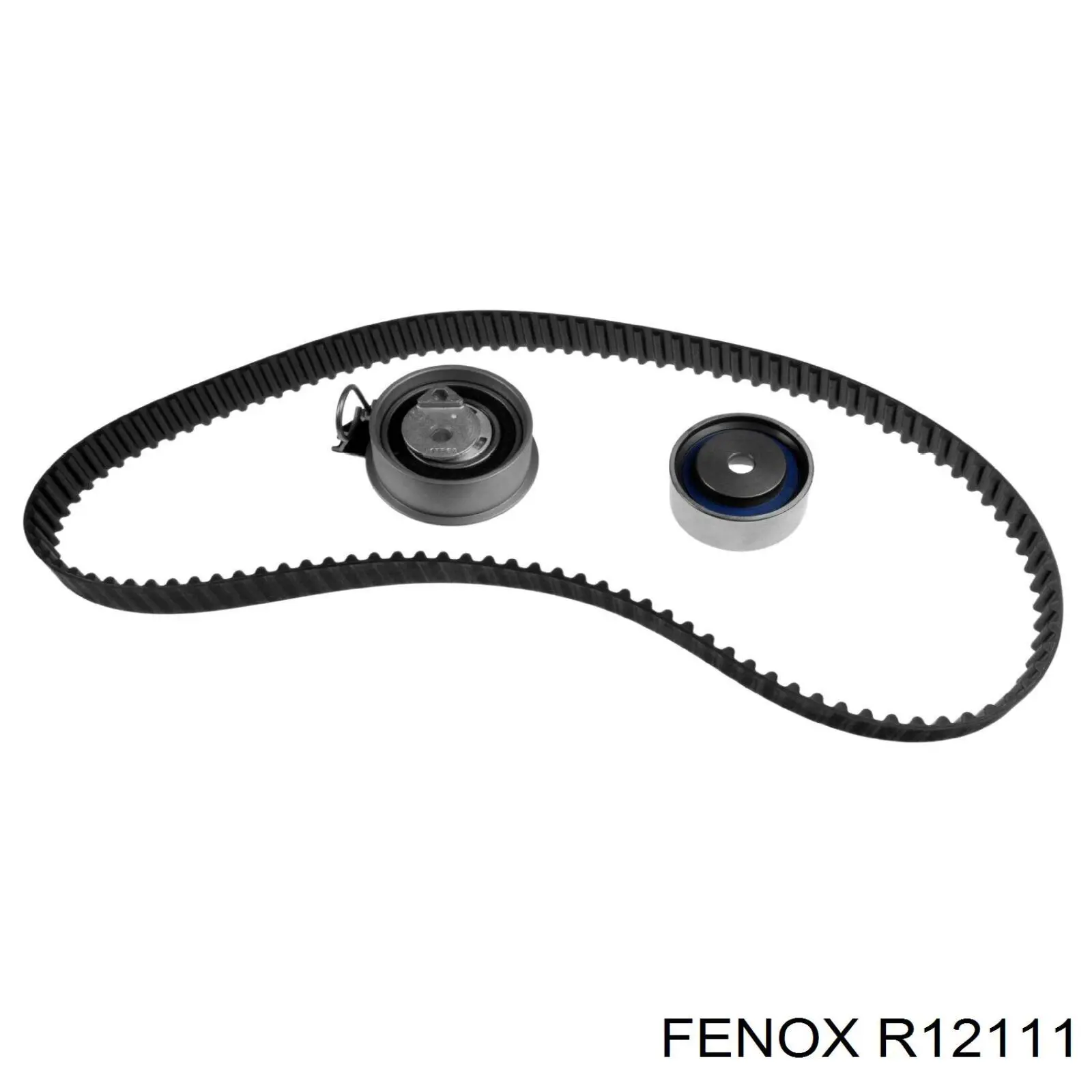 R12111 Fenox rodillo, cadena de distribución